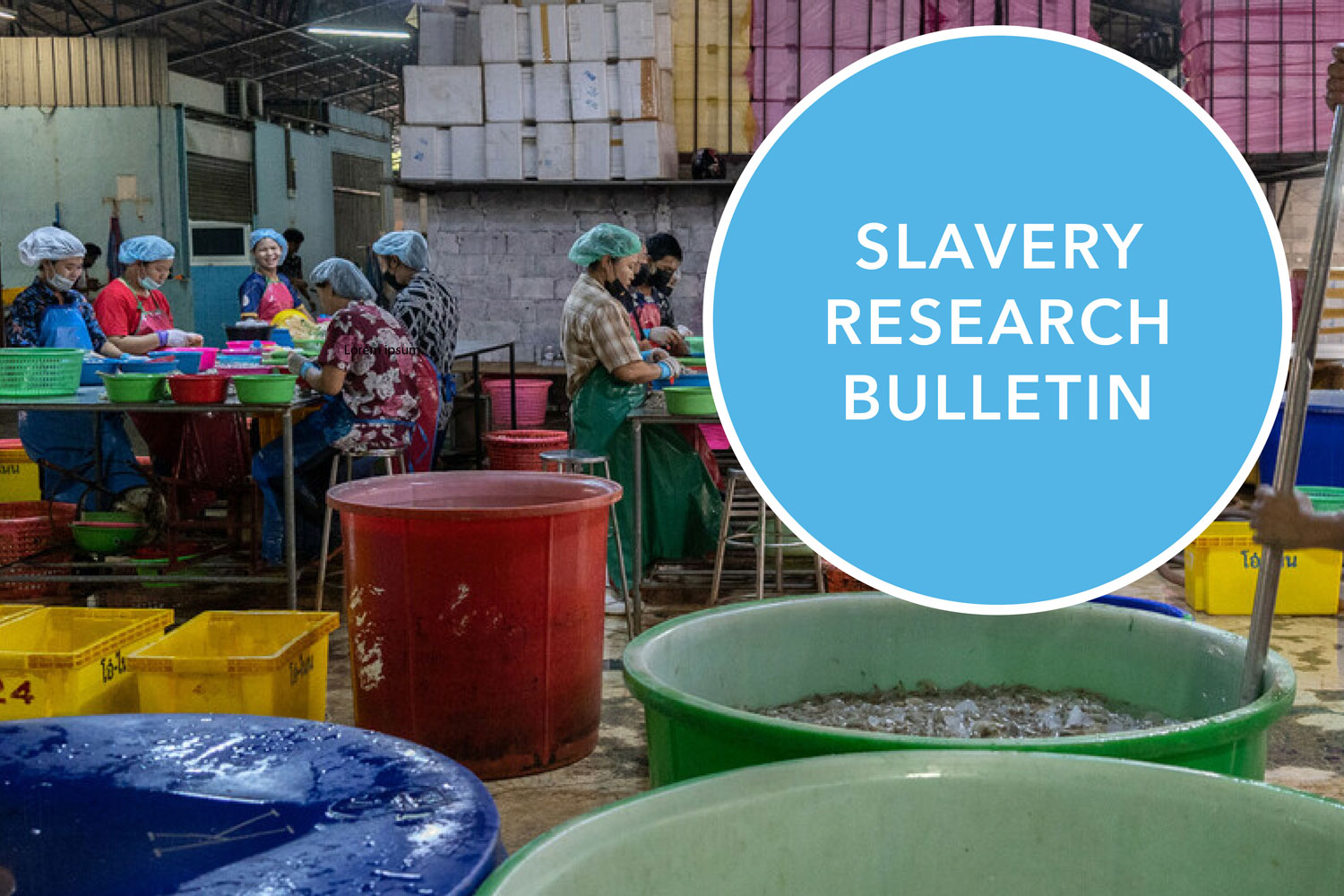 Slavery Research Bulletin: March 2024 | Freedom Fund