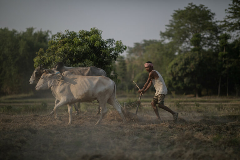 what-is-bonded-labour-definition-examples-and-statistics-freedom-fund