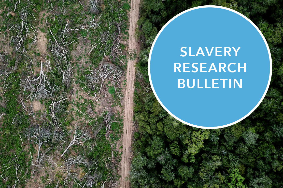 Slavery Research Bulletin: December 2024 | Freedom Fund